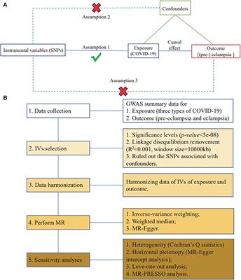 Mendelian randomization supports genetic liability to hospitalization for COVID-19 as a risk factor of pre-eclampsia